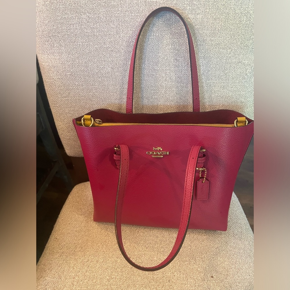 Coach Bucket Bag- W-10” H-8”